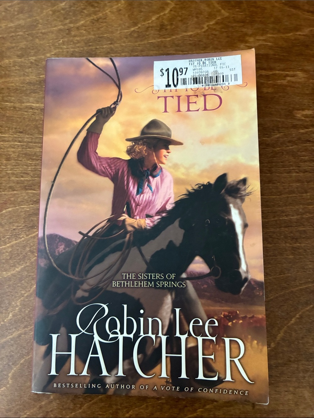 Paperback Novel - Pink/Brown Cover